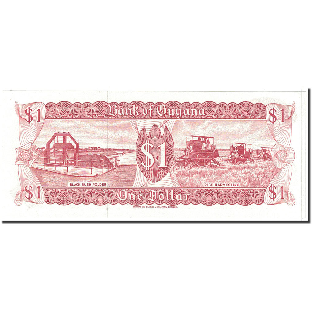 Banknote, Guyana, 1 Dollar, 1966, Undated, KM:21g, UNC(63)