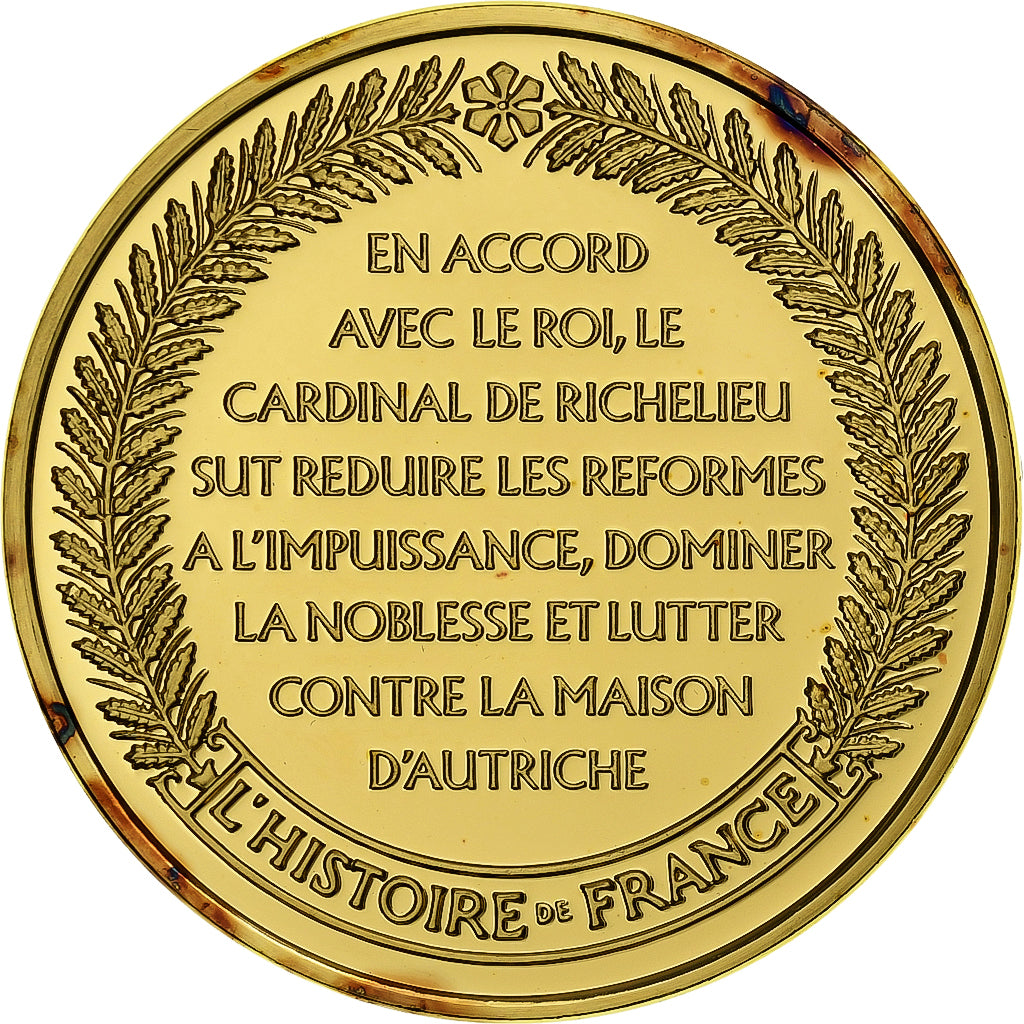 Francia, medaglia, Richelieu, Gold plated silver, L'Histoire de France, SPL