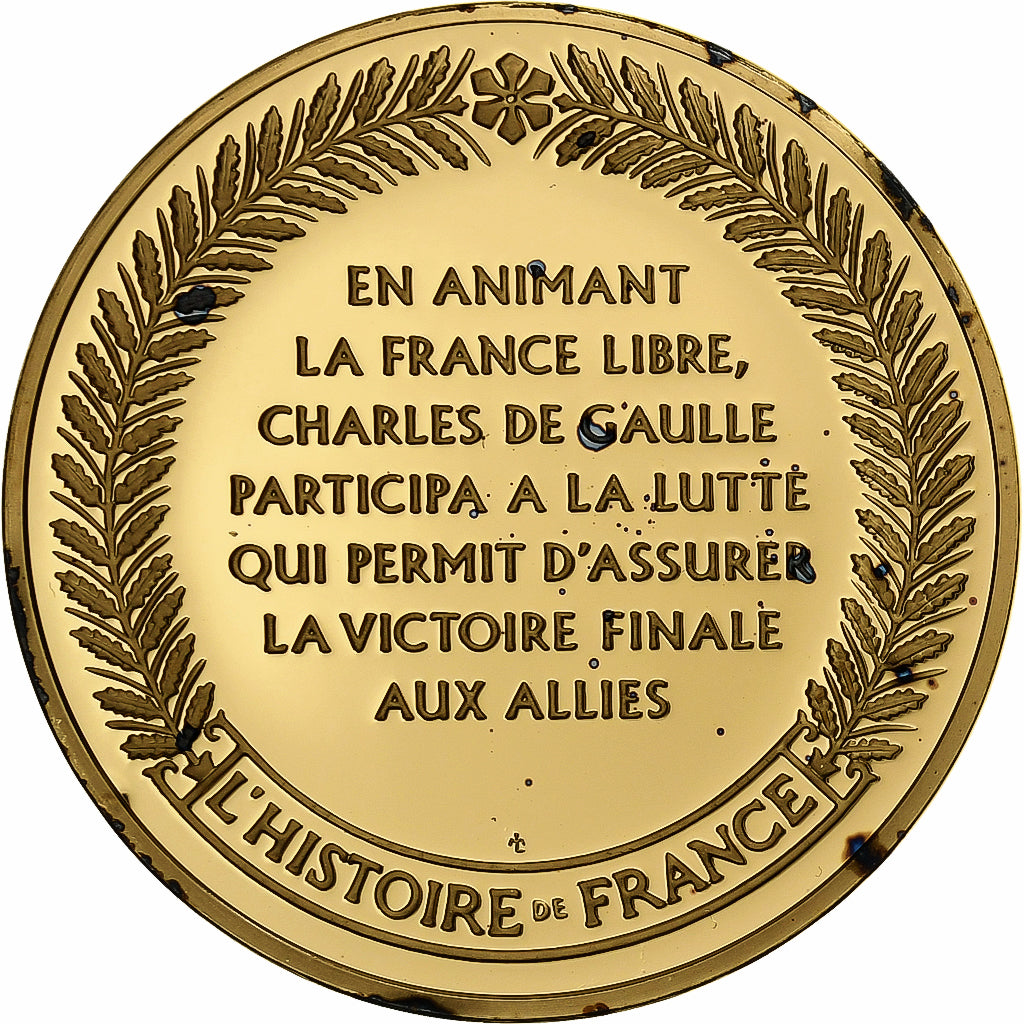 Francia, medaglia, Charles de Gaulle, Gold plated silver, L'Histoire de France