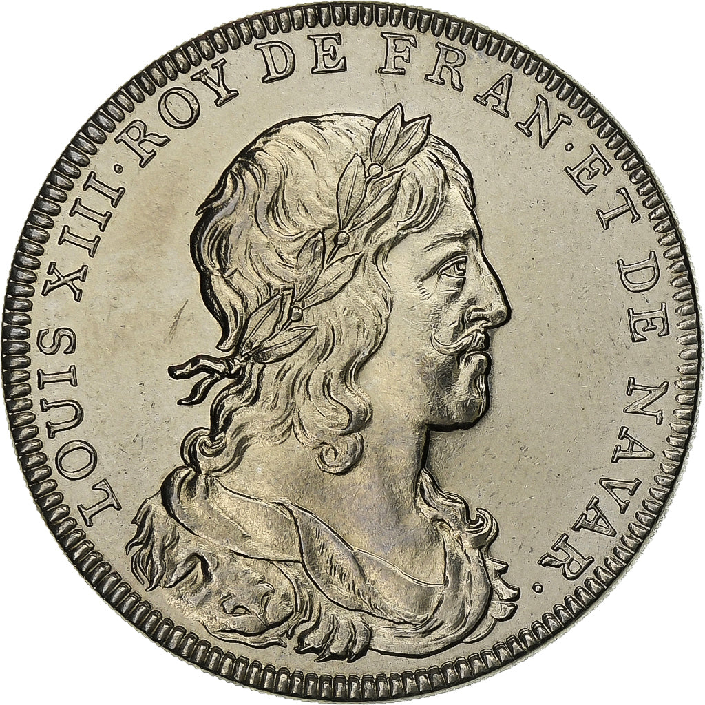 Francia, medaglia, Les rois de France, Louis XIII, Rame-nichel, SPL