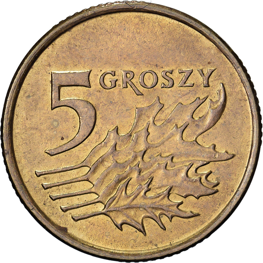 Polen, 5 Groszy, 1991, Warsaw, Messing, UNZ, KM:278