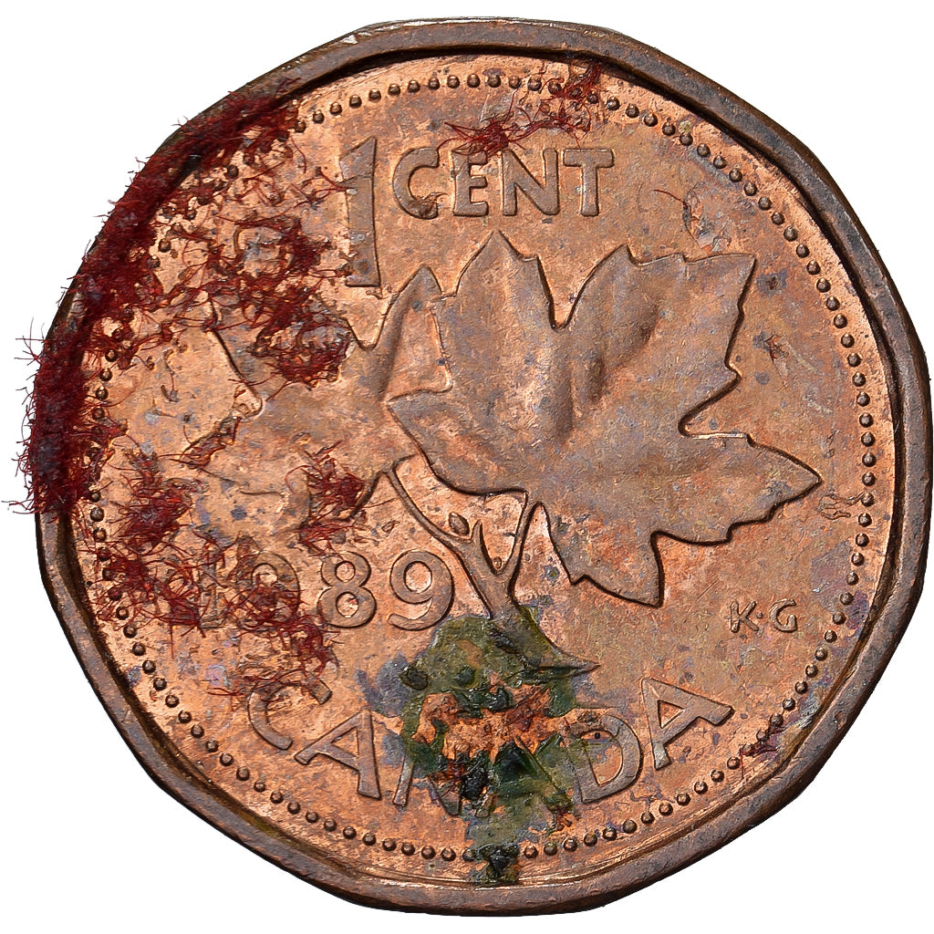 Canada, Elizabeth II, Cent, 1989, Royal Canadian Mint, Bronzen, FR, KM:132