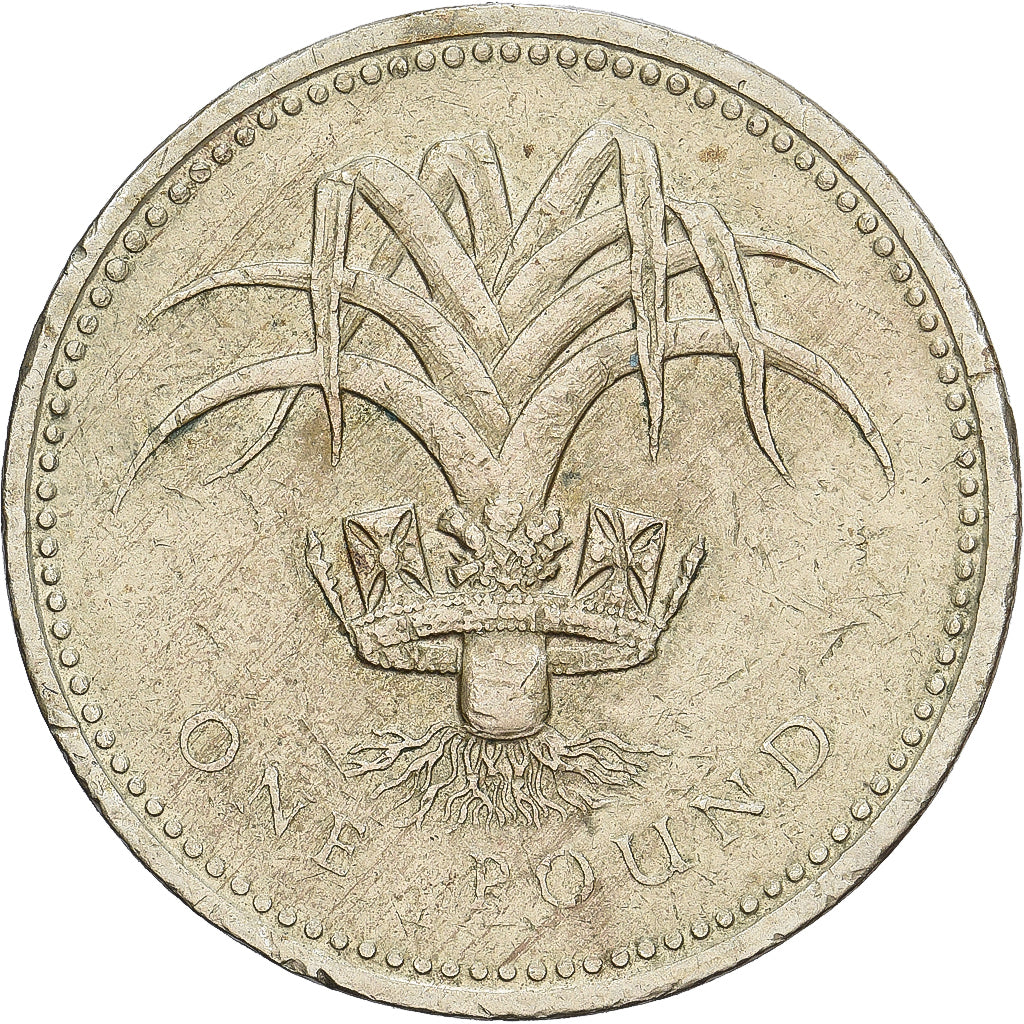 Wielka Brytania, Elizabeth II, Pound, 1990, Mosiądz niklowy, VF(30-35), KM:941