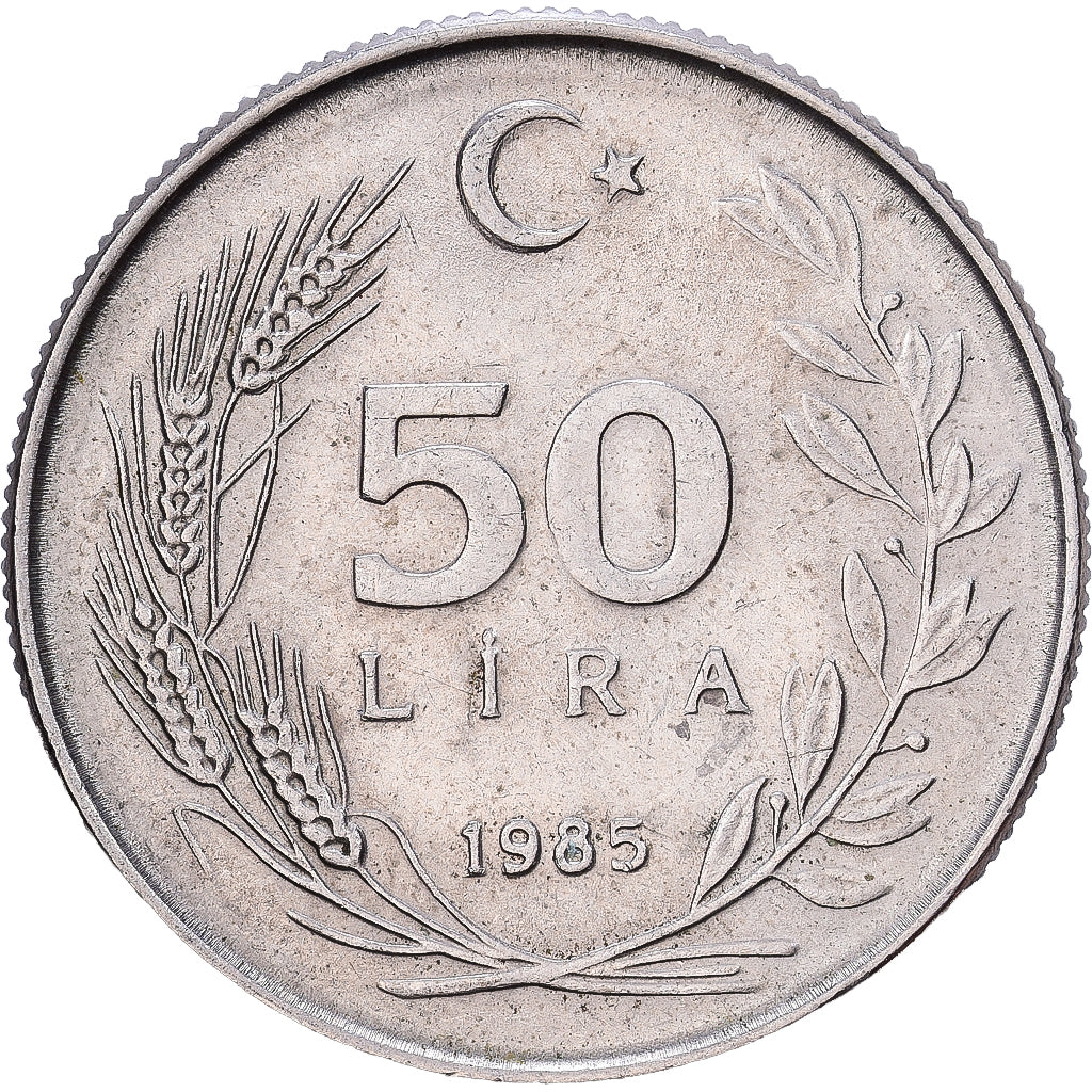 Turkey, 50 Lira, 1985, Copper-Nickel-Zinc, EF(40-45), KM:966