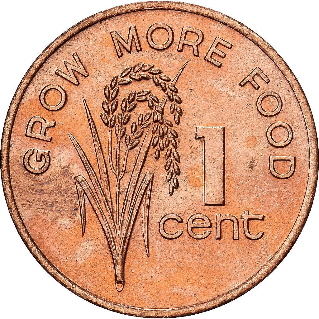 Fiji, Elizabeth II, Cent, 1982, Bronze, UNZ, KM:39