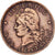 Argentina, 2 Centavos, 1893, Bronze, VF(30-35), KM:33