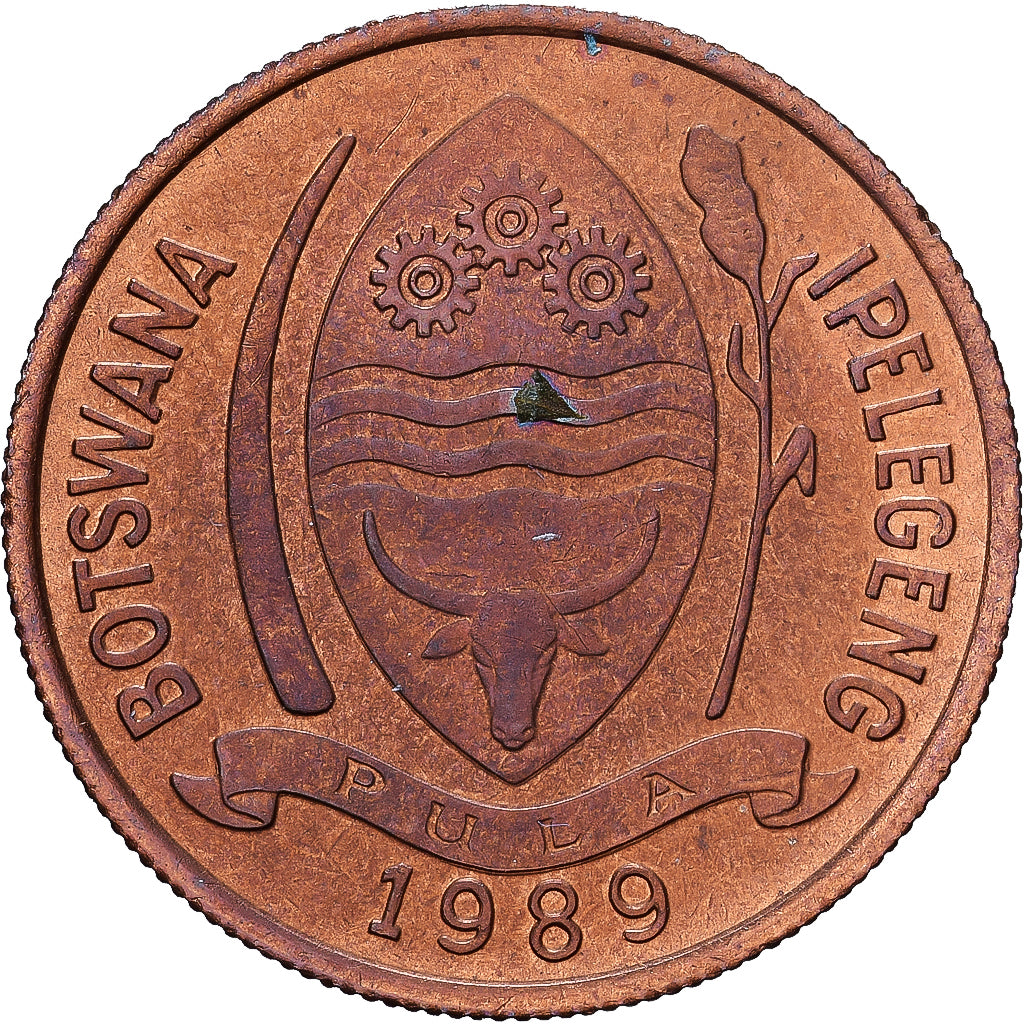 Botswana, 5 Thebe, 1989, British Royal Mint, Brązowy, AU(50-53), KM:4