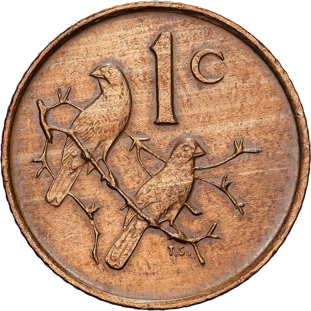 South Africa, Cent, 1987, Bronze, EF(40-45), KM:82