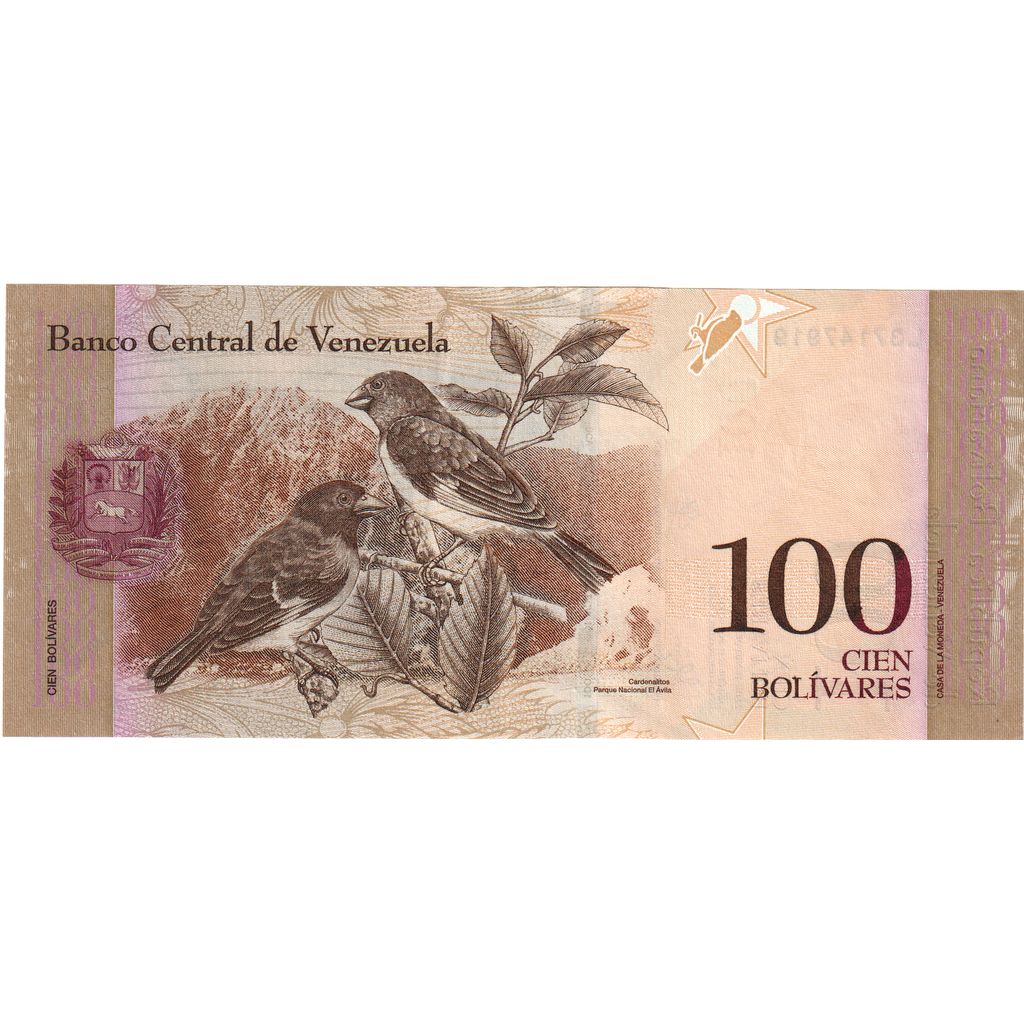 Venezuela, 100 Bolivares, 2015-06-23, SPL