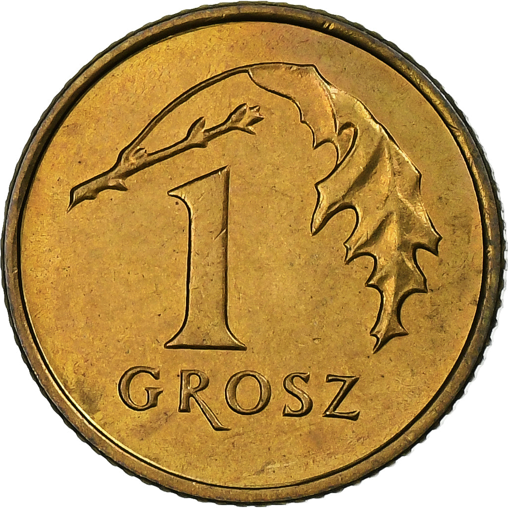 Polonia, Grosz, 1992, Warsaw, Ottone, SPL-, KM:276