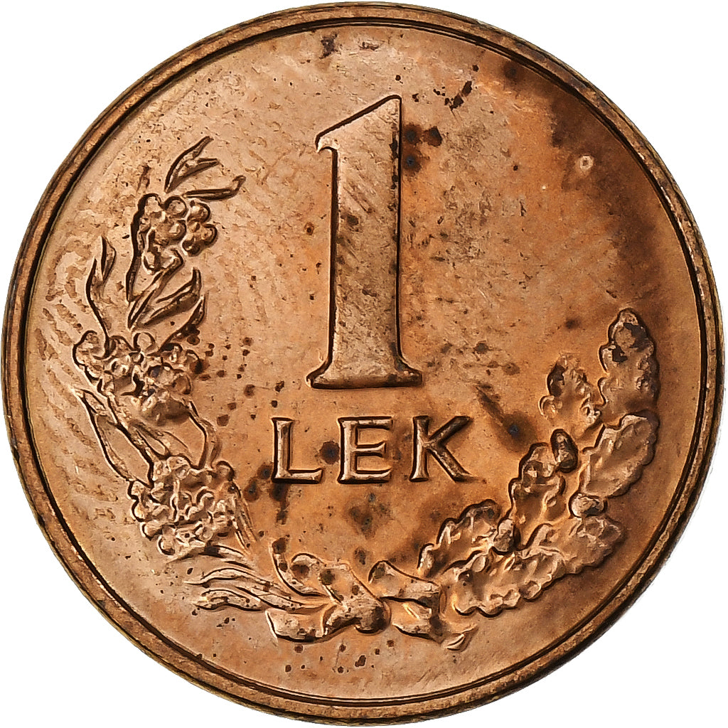 Albania, Lek, 1996, Rome, Bronze, AU(55-58), KM:75