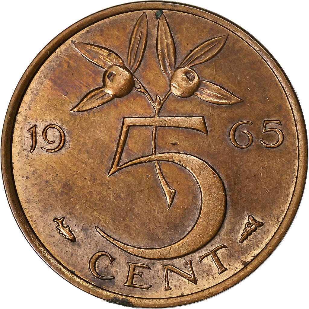 Paesi Bassi, Juliana, 5 Cents, 1965, Bronzo, BB+, KM:181