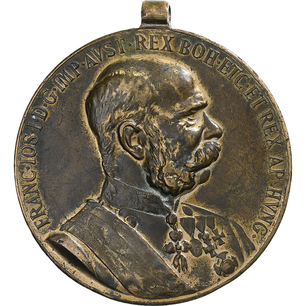 Austria, Medal, Franz Joseph I, 1898, Bronze, EF(40-45)