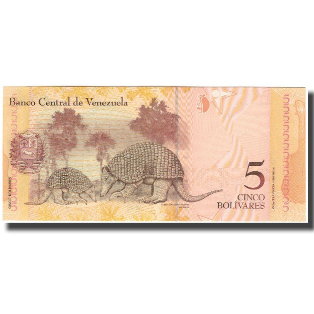 Banknote, Venezuela, 5 Bolivares, 2011-02-03, UNC(65-70)