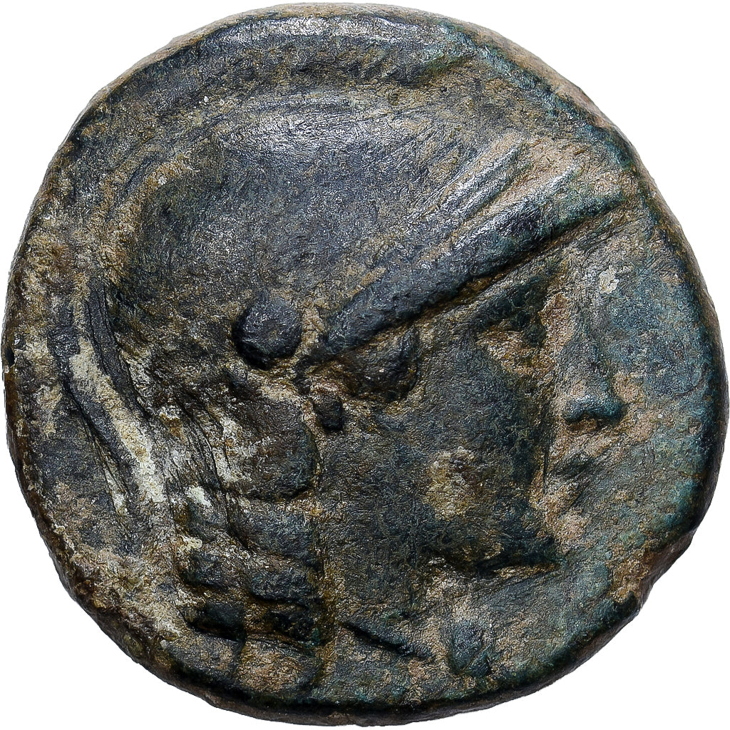 Seleukid Kingdom, Seleukos II Kallinikos, Æ, 246-242 BC, Sardes, Bronze