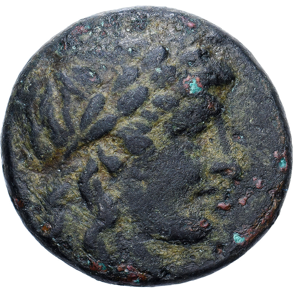 Seleukid Kingdom, Antiochos II Theos, Æ, 261-246 BC, Sardes, Bronze, EF(40-45)