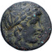 Seleukid Kingdom, Antiochos II Theos, Æ, 261-246 BC, Sardes, Bronze, EF(40-45)
