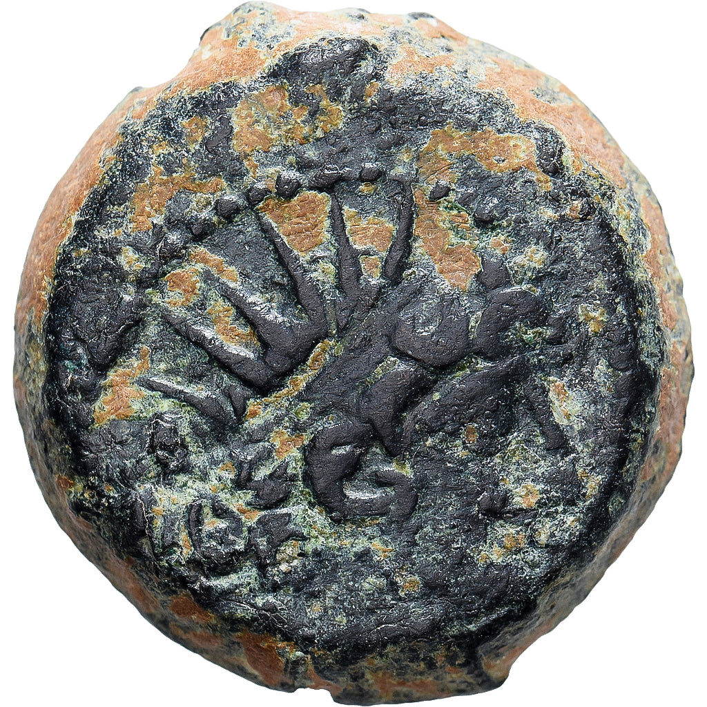 Seleukid Kingdom, Antiochos VIII Epiphanes, Æ, 121/0-113 BC, Antioch, Bronce
