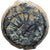Seleukid Kingdom, Antiochos VIII Epiphanes, Æ, 121/0-113 BC, Antioch, Bronze