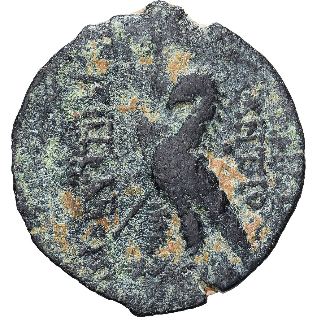 Seleukid Kingdom, Antiochos VIII Epiphanes, Æ, 121/0-113 BC, Antioch, Bronce
