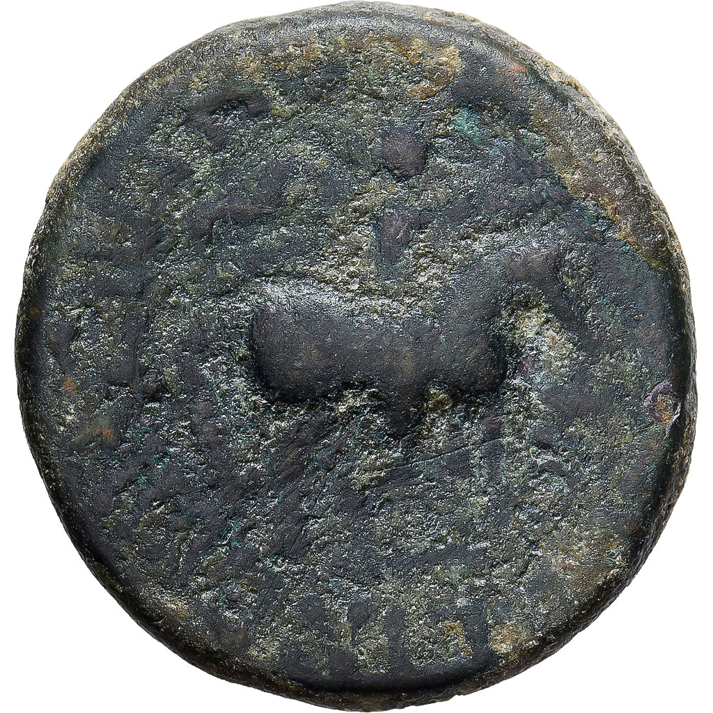 Kushan Empire, Vima Takto, Tetradrachm, 55-105, Bronze, VF(20-25)