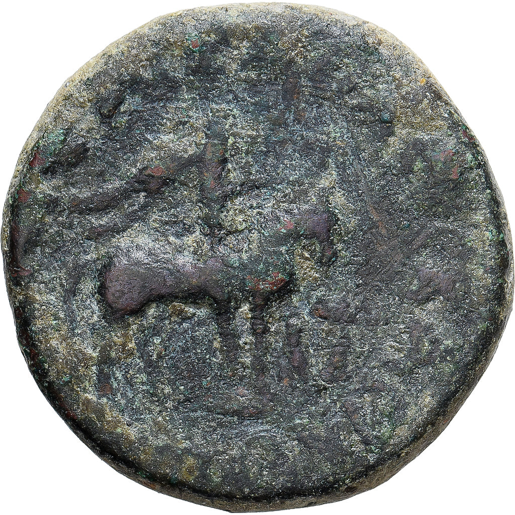 Kushan Empire, Vima Takto, Tetradrachm, 55-105, Bronze, VF(30-35)