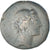 Seleucis and Pieria, Pseudo-autonomous, Æ, 30-29 BC, Apameia, Bronce, BC