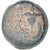 Seleukid Kingdom, Diodote Tryphon, Æ, 142-138 BC, Antioch, Bronze, EF(40-45)