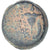 Seleucydzi, Diodote Tryphon, Æ, 142-138 BC, Antioch, Brązowy, EF(40-45)