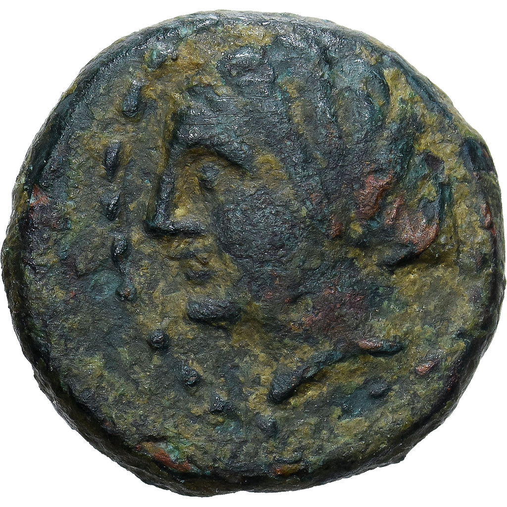 Tracja, Æ, ca. 300 BC, Sestos, Brązowy, EF(40-45)