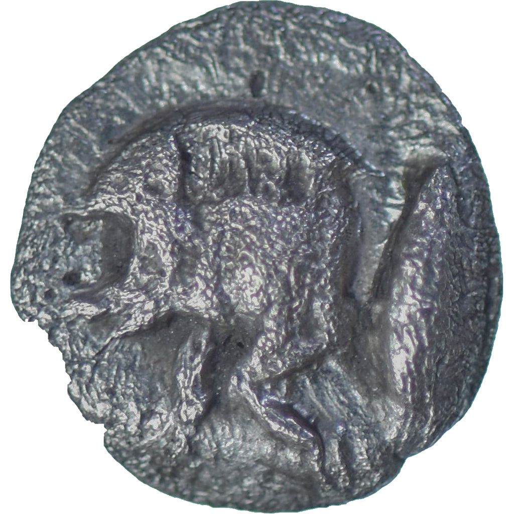 Mysië, Hemiobol, ca. 550-450 BC, Kyzikos, Zilver, ZF
