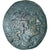 Mísia, Æ, ca. 190-85 BC, Lampsakos, Bronze, AU(50-53), SNG-vonAulock:1302