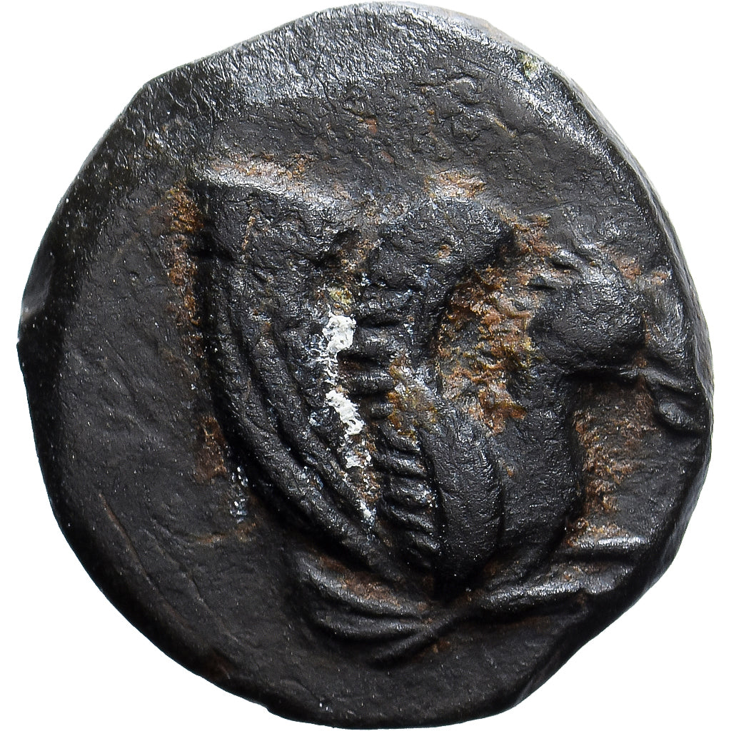 Troas, Æ, 4th century BC, Skepsis, Bronce, MBC