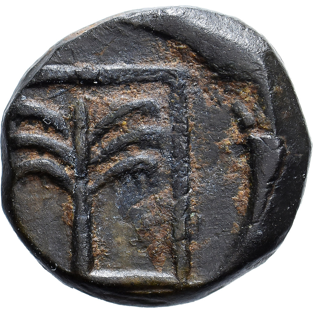 Troas, Æ, 4th century BC, Skepsis, Bronce, MBC