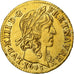 France, Louis XIII, 1/2 Louis d'or, 1643, Paris, Gold, AU(55-58), Gadoury:57