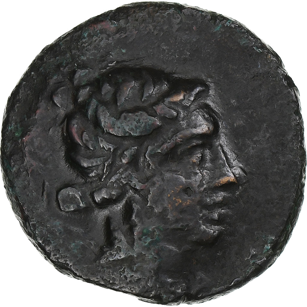 Bosphore cimmérien, Æ, 1st century BC, Phanagoria, Bronze, TTB+