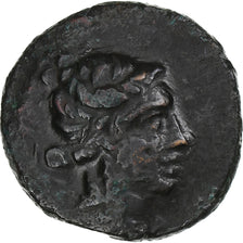 Bosphore cimmérien, Æ, 1st century BC, Phanagoria, Bronze, TTB+