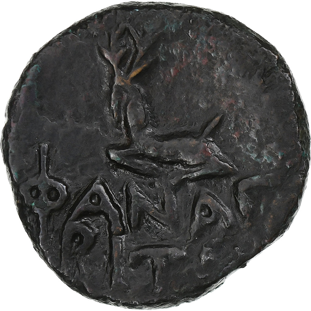 Bosphore cimmérien, Æ, 1st century BC, Phanagoria, Bronze, TTB+