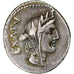 Fabia, Denarius, 102 BC, Rome, Silver, EF(40-45), Crawford:322/1b