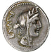 Fabia, Denarius, 102 BC, Rome, Plata, MBC, Crawford:322/1b