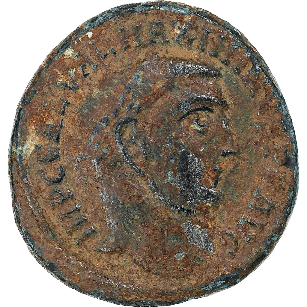 Maximinus II, Follis, 312, Antioch, Bronze, VF(30-35), RIC:167b