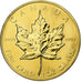 Canada, Elizabeth II, 50 Dollars, 1 Oz, Maple Leaf, 1986, Ottawa, Goud, FDC