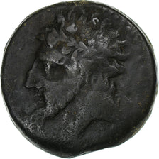 Numidia (Królestwo), Massinissa or Micipsa, Æ, 148-118 BC, Brązowy, VF(30-35)