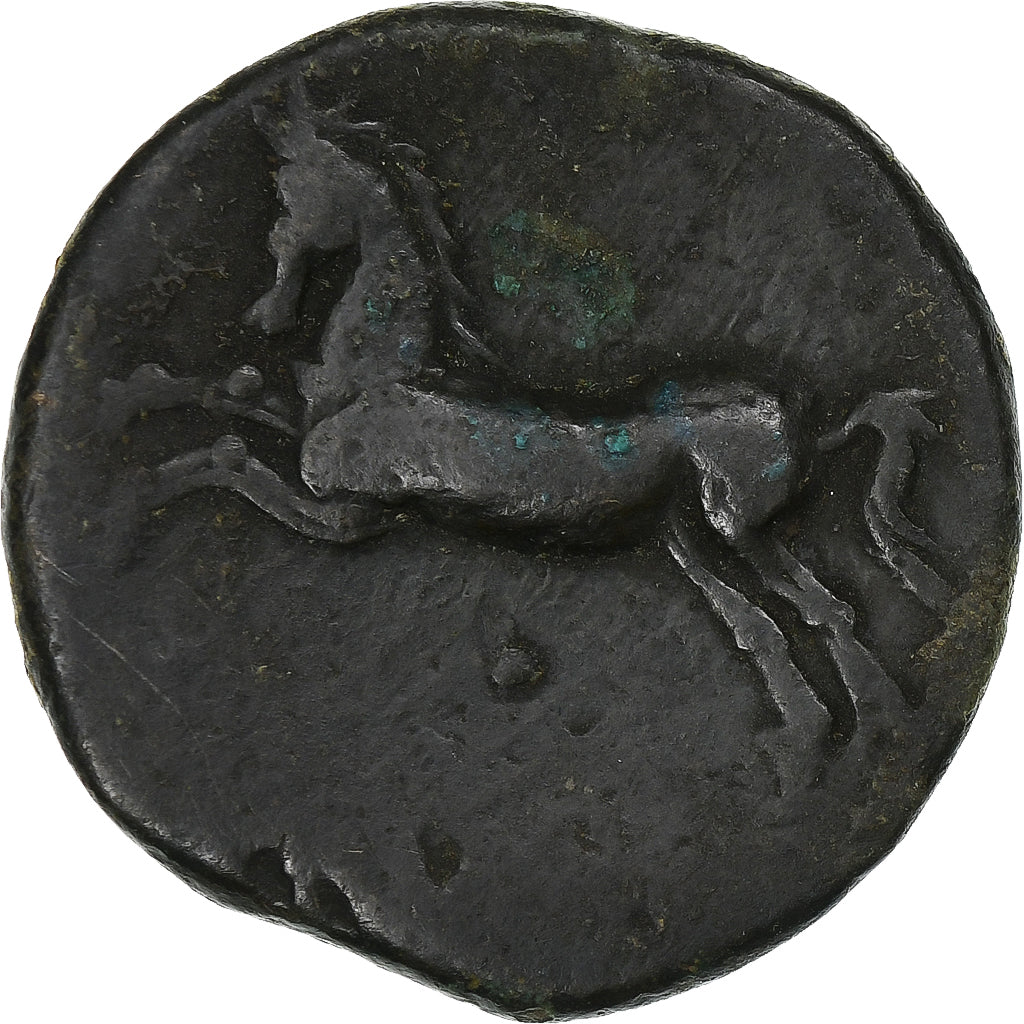 Numídia (Reino da), Massinissa or Micipsa, Æ, 148-118 BC, Bronze, VF(30-35)