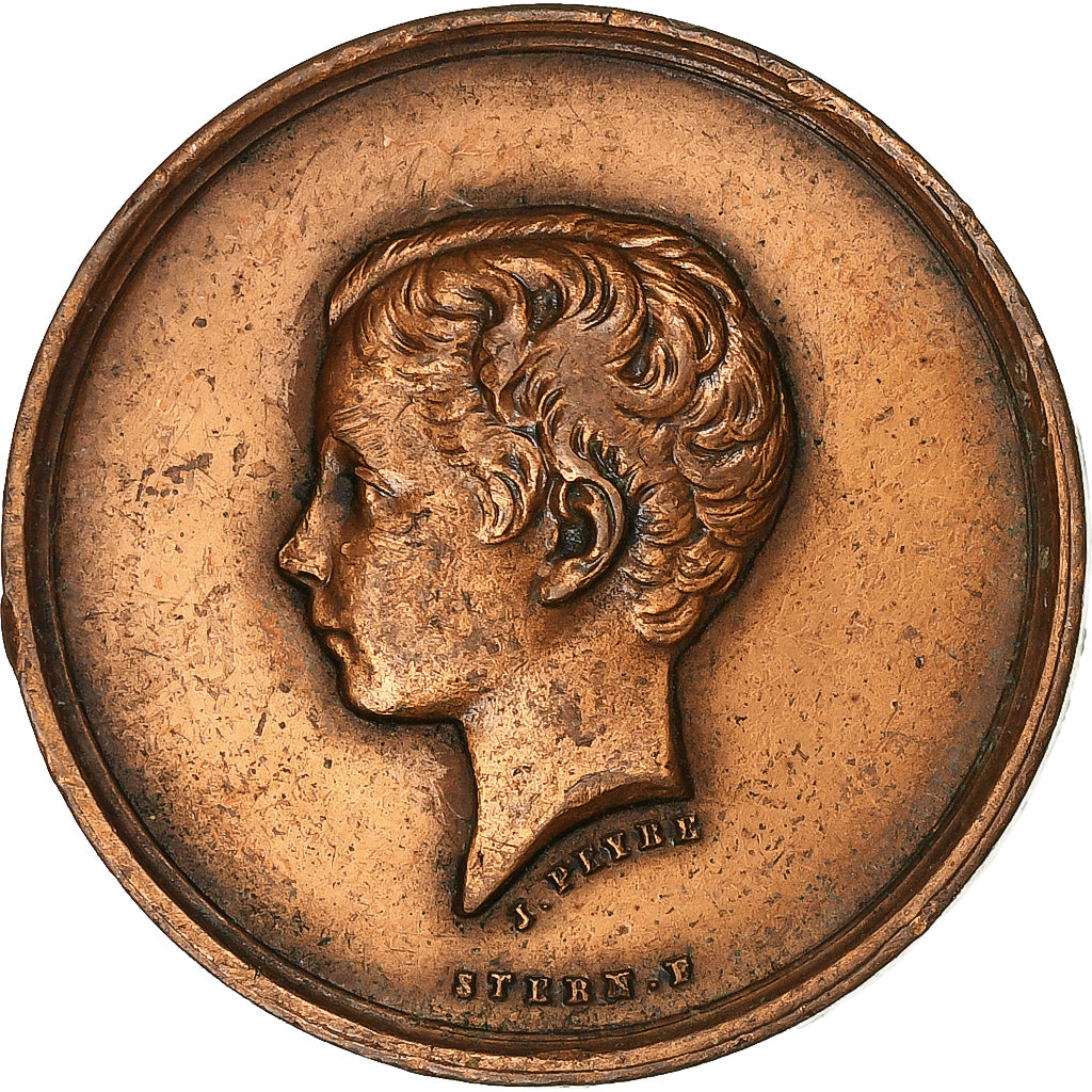 France, Médaille, Napoléon IV, Société du Prince Impérial, Enfance au