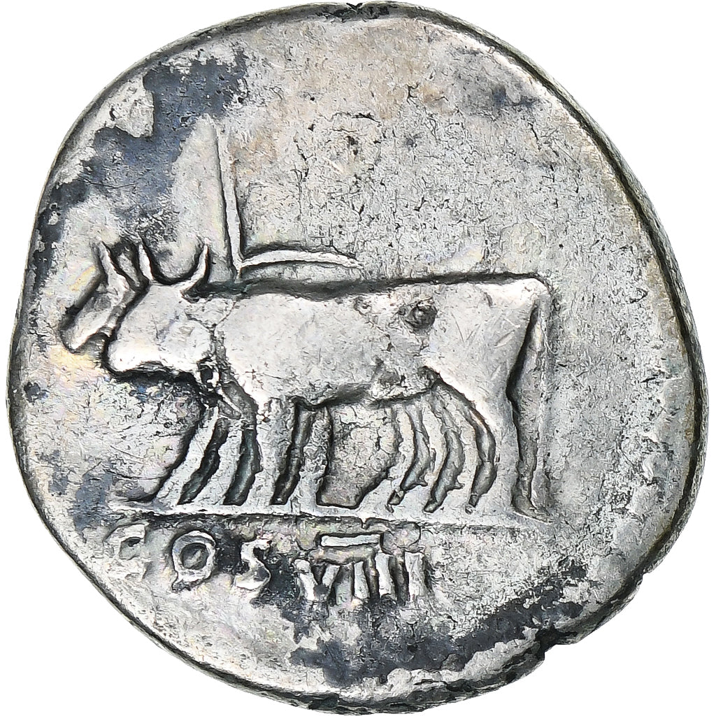 Vespasian, Denarius, 77-78, Rome, Silver, EF(40-45), RIC:944