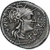 Fabia, Denarius, 124 BC, Rome, Prata, EF(40-45), Crawford:273/1