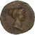 Julia Titi, Dupondius, 80-81, Rome, Bronzen, ZF, RIC:398