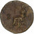 Julia Titi, Dupondius, 80-81, Rome, Bronzen, ZF, RIC:398
