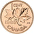 Canadá, Elizabeth II, Cent, 1980, Ottawa, Proof, Bronze, MS(65-70), KM:127